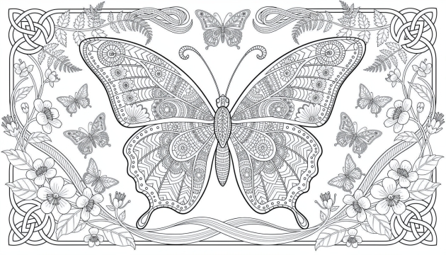Butterflies & Insects Coloring Pages